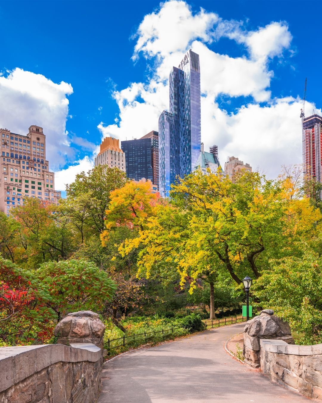 Organic Social Image Posts (8)